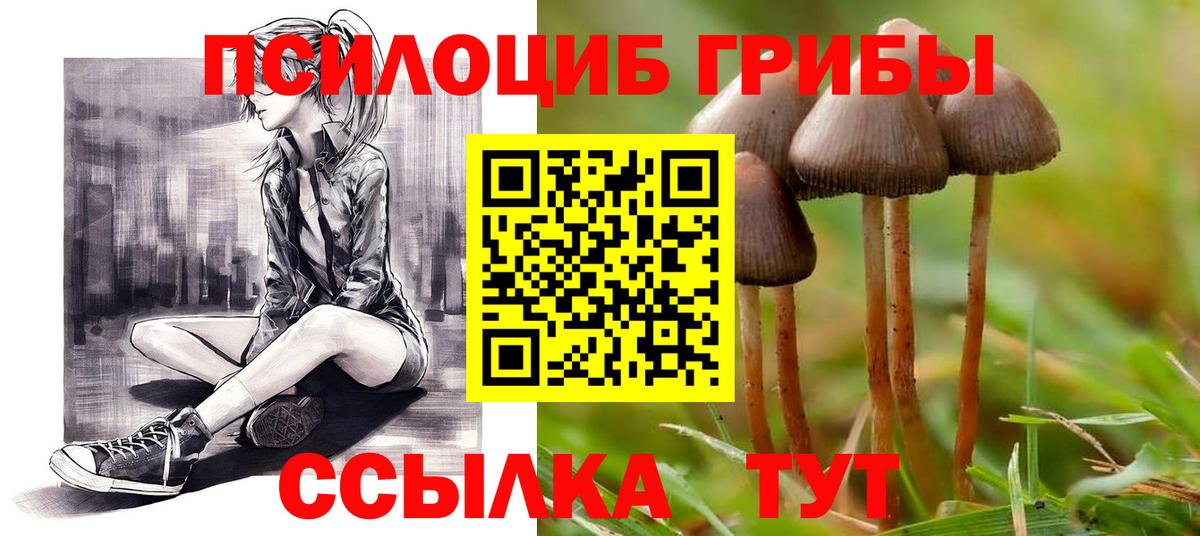 Галлюциногенные грибы ЛСД  Вход с VPN  Белореченск 
